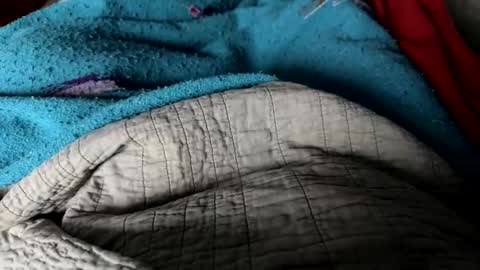 Snapshot of jerswill chatting on 12/25/24, 02:34 Jeremys room chill and puff one enjoy online show from 12/25/24, 02:34