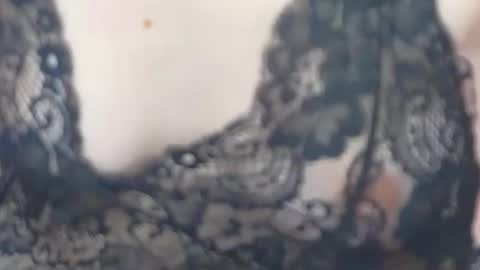 Snapshot of jessiestarrr chatting on 02/17/26, 05:41 JessieStarrr online show from 02/17/26, 05:41