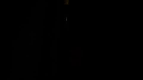 jestersquid89 online show from 09/13/25, 10:31