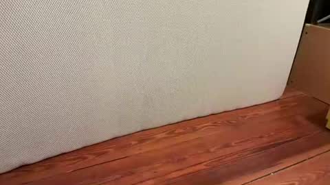 Snapshot of jetzzurssi chatting on 01/16/26, 06:39 me online show from 01/16/26, 06:39