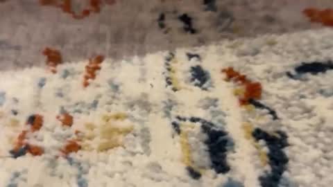 Snapshot of jetzzurssi chatting on 03/11/26, 11:44 me online show from 03/11/26, 11:44