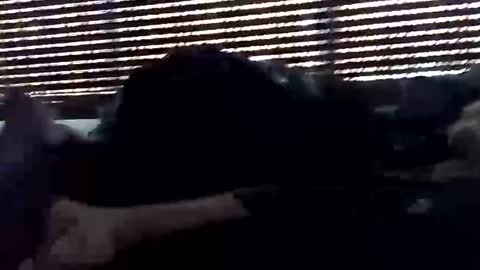 jf19861119 online show from 10/05/25, 05:33