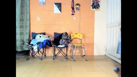 Jharol  online show from 03/14/26, 07:14