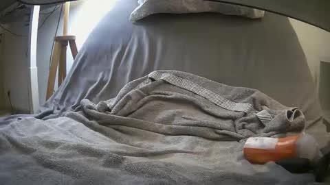 jhonson7342 online show from 02/11/26, 05:51