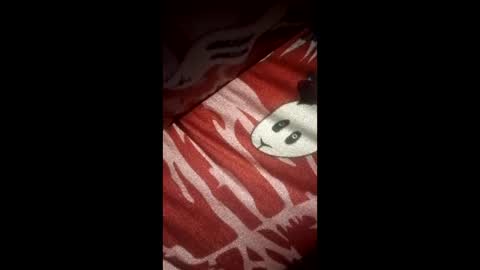 Snapshot of jhonteilorleonramirez277 chatting on 03/22/26, 11:19 jhonteilorleonramirez277 online show from 03/22/26, 11:19