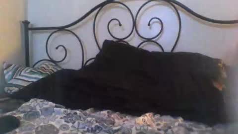 Snapshot of jimz169 chatting on 04/27/26, 12:08 Jimz14u online show from 04/27/26, 12:08