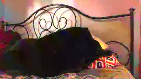 Snapshot of jimz169 chatting on 06/04/26, 12:27 Jimz14u online show from 06/04/26, 12:27