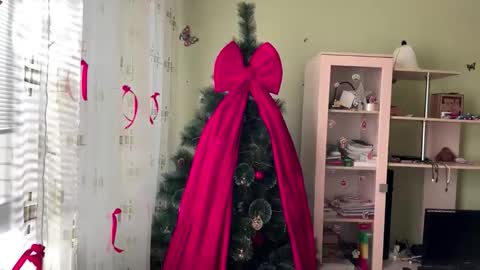 Jinny online show from 12/14/25, 09:03