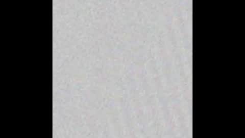 jinscreet online show from 02/20/25, 10:59