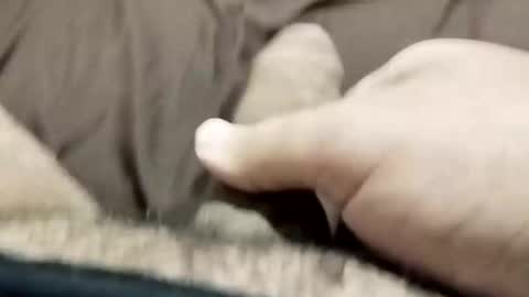 jj3377 online show from 10/26/25, 06:08