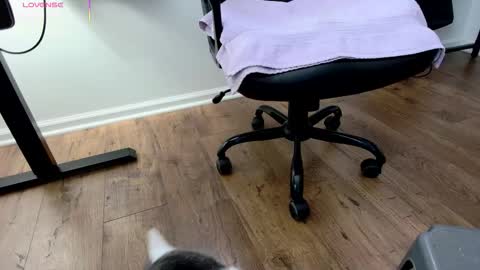 Nicole  Allen online show from 12/03/25, 09:02