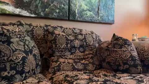 jlk7777 online show from 04/17/26, 03:15