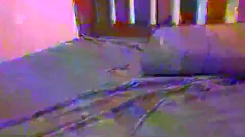 tip me online show from 02/17/25, 10:29