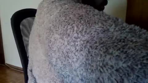 Snapshot of joaodias_18 chatting on 12/13/24, 02:16 joaodias_18 online show from 12/13/24, 02:16