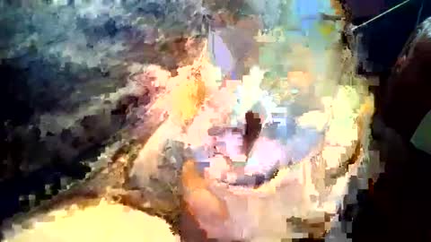 joedunbar61 online show from 09/17/25, 12:12