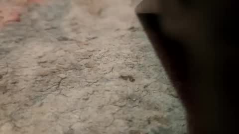 joemancini643 online show from 09/21/25, 02:13