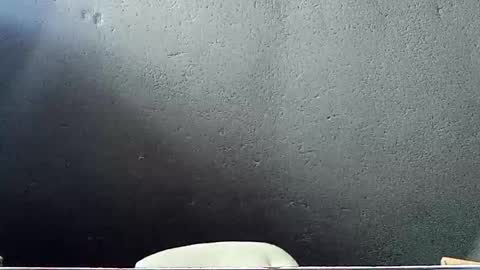 Snapshot of john_marston2 chatting on 05/29/26, 07:17 John Marston online show from 05/29/26, 07:17