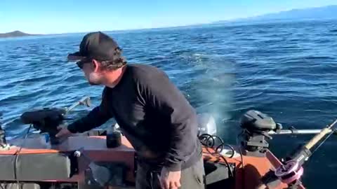 Snapshot of johnandmarie_ chatting on 10/05/25, 11:13 johnandmarie_ online show from 10/05/25, 11:13