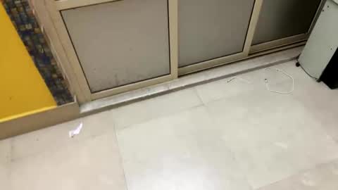 Snapshot of johncockhot chatting on 03/02/26, 08:04 johncockhot online show from 03/02/26, 08:04