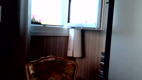 Snapshot of johnjohn6226623 chatting on 05/28/26, 07:49 johnjohn6226 online show from 05/28/26, 07:49