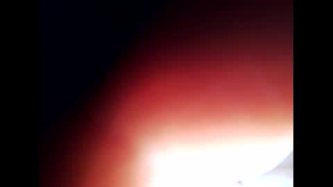 Snapshot of johnlong25cm chatting on 12/24/24, 09:28 johnlong25cm online show from 12/24/24, 09:28