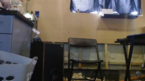 johnplayer23 online show from 12/22/25, 04:59