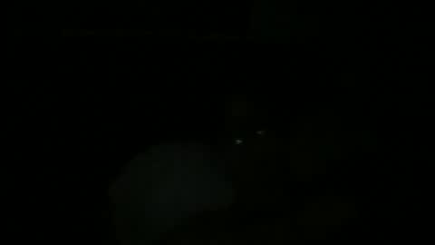 Snapshot of johnukber chatting on 12/09/24, 12:45 John Ukber online show from 12/09/24, 12:45