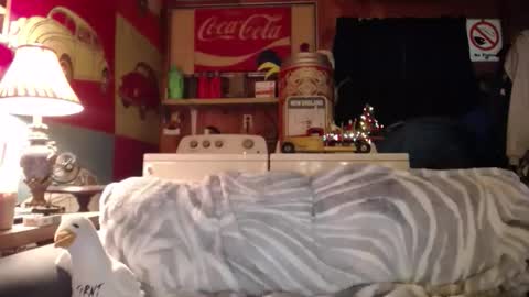Snapshot of johstondude chatting on 05/19/26, 01:11 Johston online show from 05/19/26, 01:11