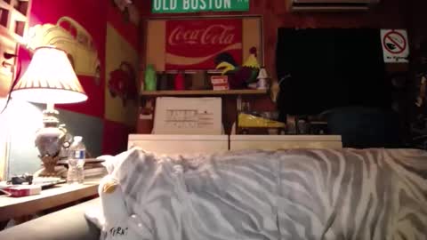 Snapshot of johstondude chatting on 05/25/26, 01:44 Johston online show from 05/25/26, 01:44