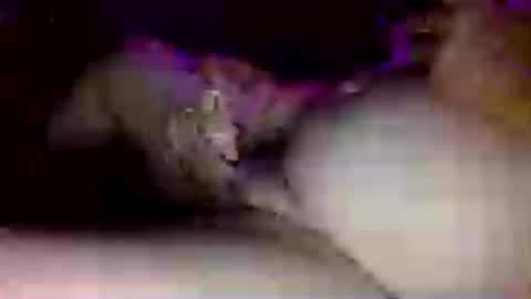jon3911 online show from 06/17/26, 10:43