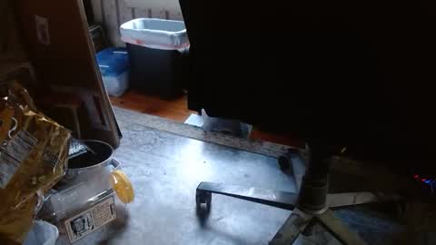 joncpics online show from 11/06/25, 08:21