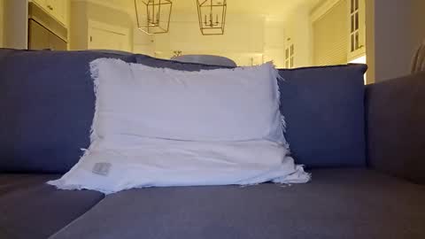 Snapshot of jonesy420xoo chatting on 12/20/24, 01:58 jonesy420xoo online show from 12/20/24, 01:58