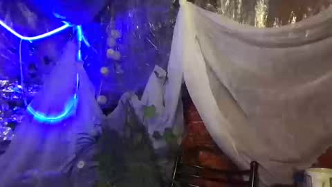 Jony Marta GMT 2000-0100 every day online show from 10/16/25, 02:51