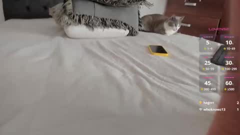 Will online show from 03/25/26, 11:44