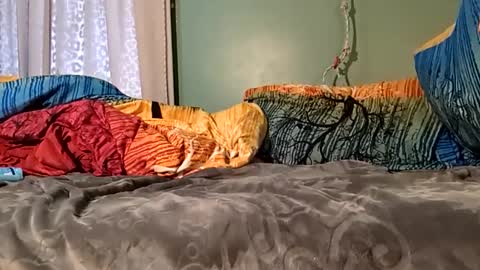 jorjina_x_mckie online show from 01/09/25, 08:22