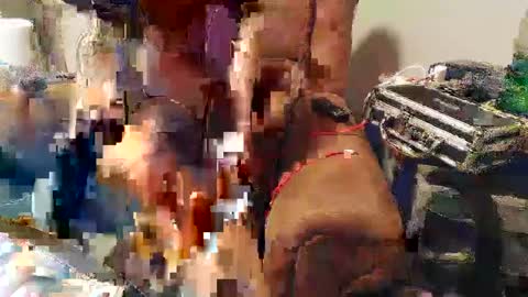 Josef online show from 01/22/25, 11:10