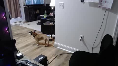 Josef online show from 01/15/26, 02:05