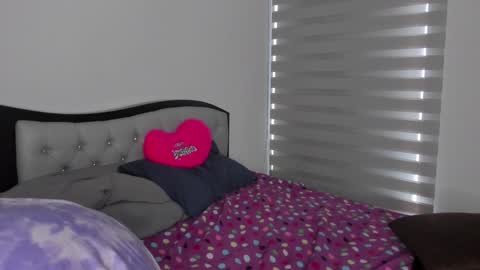 Snapshot of josh_and_dilany chatting on 01/22/25, 05:28 Dilany Josh online show from 01/22/25, 05:28