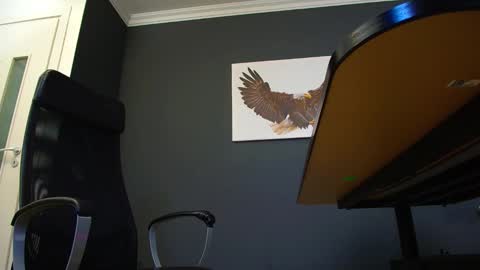 Snapshot of joshknights chatting on 03/04/25, 08:13 JoshKnight online show from 03/04/25, 08:13