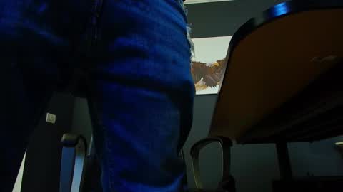 Snapshot of joshknights chatting on 03/09/25, 08:40 JoshKnight online show from 03/09/25, 08:40