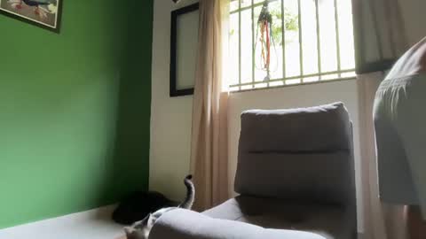 Snapshot of joulianogreco1 chatting on 07/19/26, 03:05 Im Jouliano online show from 07/19/26, 03:05