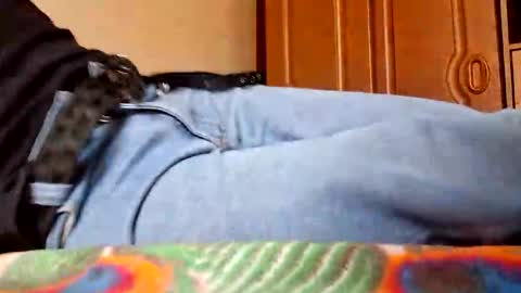 juan488826 online show from 03/23/26, 06:01