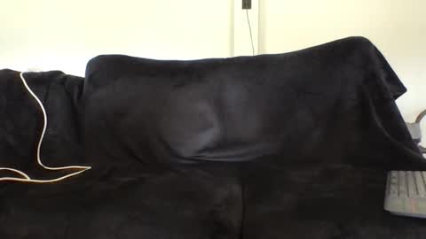 juanmamestre94 online show from 02/27/26, 02:39