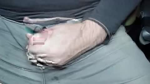 Jrgen Schnfeld online show from 12/20/24, 06:40