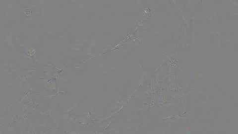 Jrgen Schnfeld online show from 11/24/25, 10:48