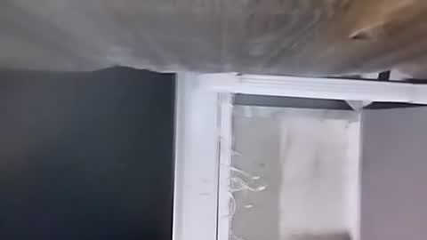 Carlos online show from 12/09/24, 02:34