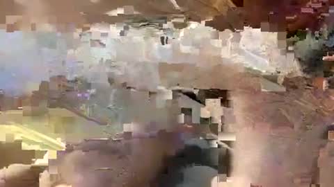 Carlos online show from 12/23/24, 12:46