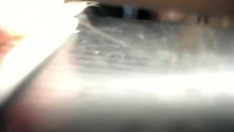 Den  online show from 03/23/26, 12:53