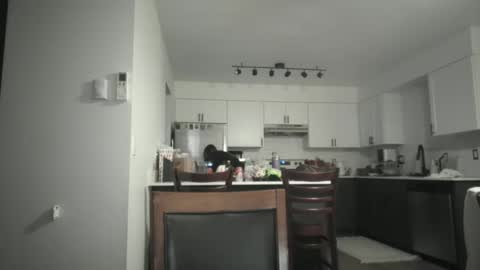 Sav online show from 12/05/25, 05:05