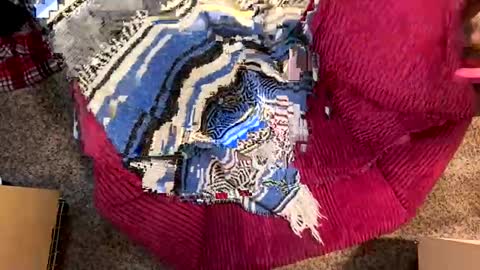 Juish5521 online show from 12/29/24, 03:03